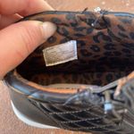 Steve Madden high top fashion sneakers Photo 2