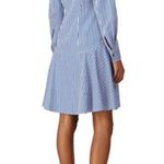 Derek Lam ππ Blue Pin Stripe Shirtdress ~ Blue White 40 EUC Minimalist Chic Photo 4