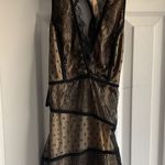 Arden B Sexy Cut Out Black Lace Dress Size Small Naked Look Photo 0