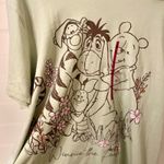 Disney  Winnie the Pooh T-Shirt Women's XXL Light Green Graphic Tee Photo 1