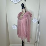 Entro NTM: Metallic Ruffle Sheer Blush Pink & Gold Blouse Size Large Photo 9