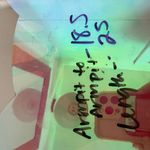 American Eagle  Women’s Small Soft & Sexy Embroidered White Longsleeve Photo 4