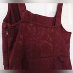 Urban Outfitters  Hallie Wine Colored Embroidered Square Neck A-line Mini Dress Photo 12