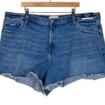 Abercrombie & Fitch NWT Denim Shorts Womens 36 Medium Wash 90s Relaxed Cutoff Photo 0