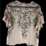 ZARA  Light Pink Floral Embroidered Sheer Top Photo 4