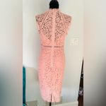 Bardot Gorgeous midi dress for spec.occasion 🌷🌷🌷 Photo 3