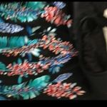 Maxine of Hollywood COPY -  swim wear 8 Photo 11