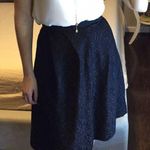 ZARA  Black Lace A Line Skirt Small Photo 0