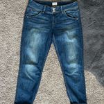 Hudson Jeans Dark Blue Skinny Jeans Photo 1