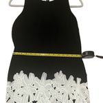 Daniel Cremieux Black and White Floral Classic Dress Size Medium Photo 3