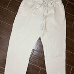 Ellen Tracy  natural 100% Linen pants sz XL Photo 0