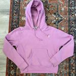 Champion Hoodie Photo 0