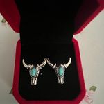 Women’s Stainless Steel Silver Faux Turquoise Western Style Stud Earrings Photo 1