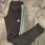 Adidas Jogger Sweatpants Photo 0