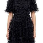 Endless Rose Gridded Mesh Feathered Puff Sleeve Mini Dress Black Sz XS Photo 0