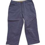 Tommy Bahama Stretch Relaxed Fit Blue Capri Pants Women's Size 8 A12 Photo 0