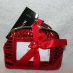 Style & Co New Valentine Kisslock Evening Bag Photo 0