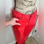 J.Crew NTM: Coral Colored Mid Rise Toothpick Skinny Jeans Sz 29 Photo 6