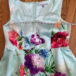 Carmen Marc Valvo Dress NWOT Floral Print Pleated Overlay Shift Sheath Work Mint Plus Size  A-line Photo 5