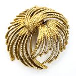 Monet Vintage Cordilia spray Gold tone Brooch textured waterfall 2” Eclectic Grandpa Photo 0