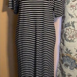 ZARA  Maxi Shirt Dress Size Small Photo 0