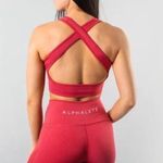 Alphalete Vault Bra Photo 0