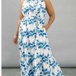 Anthropologie Peter Som Larissa maxi dress white with blue chevron patte… Photo 0