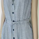 Mlle Gabrielle Pinstripe Sleeveless Dress Photo 6