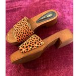 ASOS Transit Suede Heeled Mule Sandal Orange Leopard Size 38 US SIZE 8 MOB WIFE Photo 2