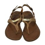 Sam Edelman  T-Strap Leather Sandals Size 7 AE Outfitters Summer Chic Photo 1