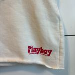 Playboy  x Pacsun Sunrise Mini Y2k Skirt Photo 5