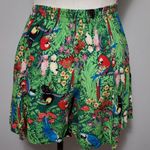 Pacific&Co Vintage Cameo & green tropical floral parrot print shorts size small Photo 5