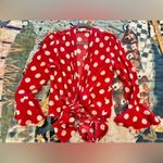 XIX PALMS 2 Red Polka Dot Tie Photo 8