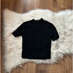 Aritzia  Babaton Gonzalo Hip T-Shirt Photo 2