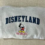 Disney land Hoddie Photo 0
