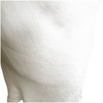 Meshki  Mini Slip Dress Cowl Neck Satin Size XL Pearly White Party Dress Wedding Photo 7