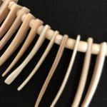 Vintage MCM Seashell Beaded necklace 18" Multi size shape Beige Cream White Photo 4