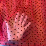 Peach Love California  Top Large Red Sheer Polka Dot Blouse Photo 2