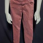 Just Black  Redish Purple Jeans (26P) Photo 1