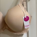 Freya Off beat Natural Beige Molded Bra NEW 32K Style AA5450NAE Tan Size undefined Photo 4