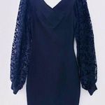 Vintage Yes Clothing Sheer Sleeve Mini Dress Photo 0