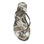 Solei Sea Vivie Python Grey Strappy Flat Flip Flop Sandal size 8 Gray Photo 7
