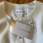 Post Meridiem Puff Sleeve Button Front Mini Dress Photo 12