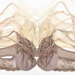 Wacoal Womens Bundle Lot (6) Delicate Neutral Lace Underwire Bras Size 38C Photo 0