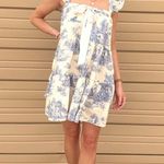 Blue and cream toile mini dress small Photo 0
