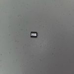 None Boston Terrier Stainless Steel Italian Charm Photo 1