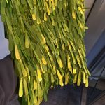 Neon Lime Green Party Dress Size 2 Photo 8