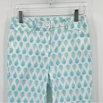Talbots Perfect Skimmer stretch aqua blue paisley print cropped casual pants 6 Photo 2
