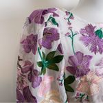 Elliatt  Reverie Embroidered Mini Dress in Multi Photo 4