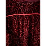 Sundance Regina Blouse Burgundy Maroon Velvet Burnout Floral Medium Silk Blend Photo 6